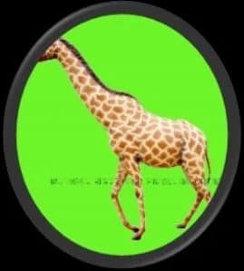 Giraffe Statue